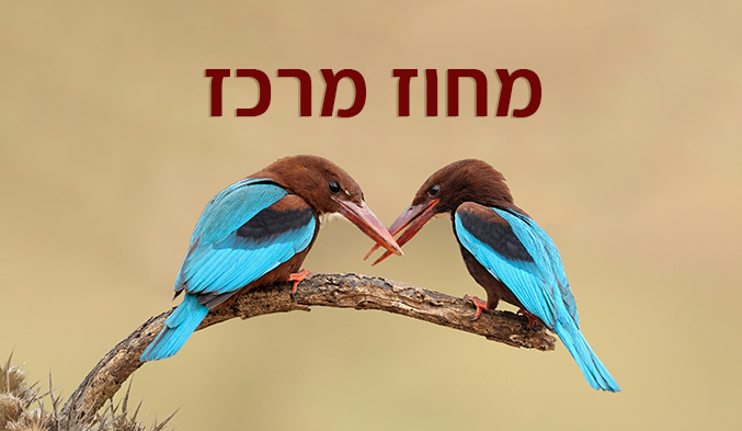 מחוז מרכז