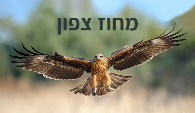 מחוז צפון