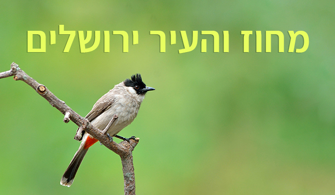 מחוז והעיר ירושלים
