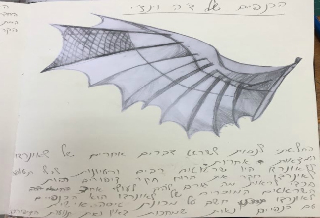 סרטוט הכנפיים של דה-וינצ'י