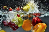 הזנה ביצורים חיים:  מים ומזון