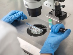 הפריה חוץ גופית (IVF)