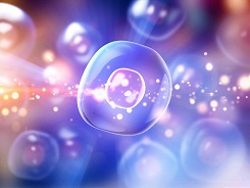 Introduction to Cells