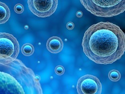 Introductuon to Cell Signaling