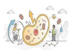 What is ATP?