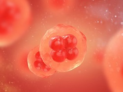 How cells specialize