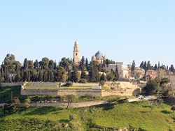 עלייה להר ציון בתשעה באב