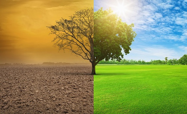 שינוי אקלים