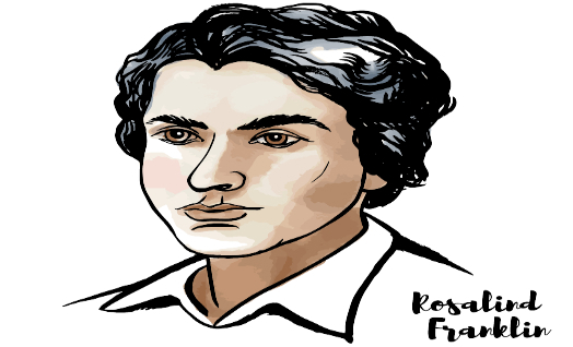 מדענית – רוזלינד פרנקלין - Rosalind Elsie Franklin