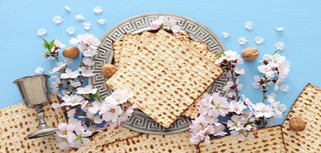 חינוך גופני