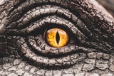 British Council - The hungry dragon
