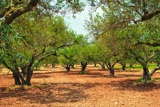 מגדירים את סביבת הגן מחדש