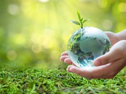 Tips For Helping the Planet 
