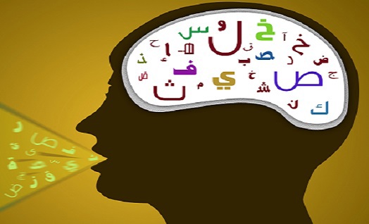ערבית דבורה לכיתה ז