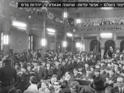 גב' שושנה אנאדג'ני, יהדות פרס