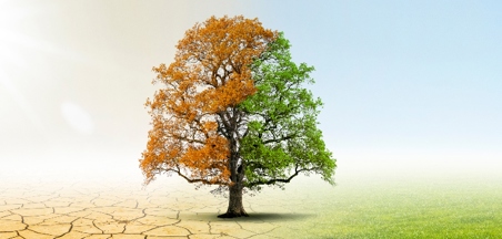 It is Our Climate  