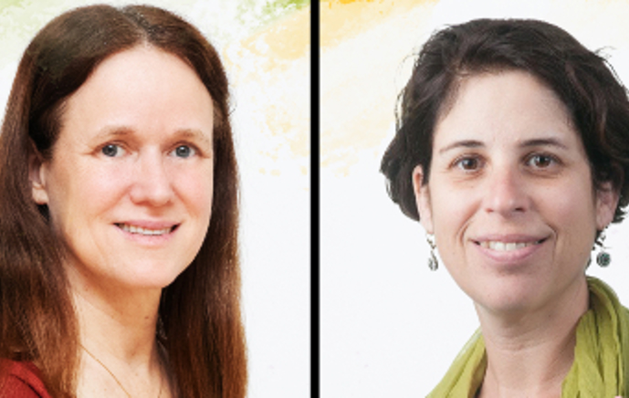 פרק 25: הוגנות בחינוך 
