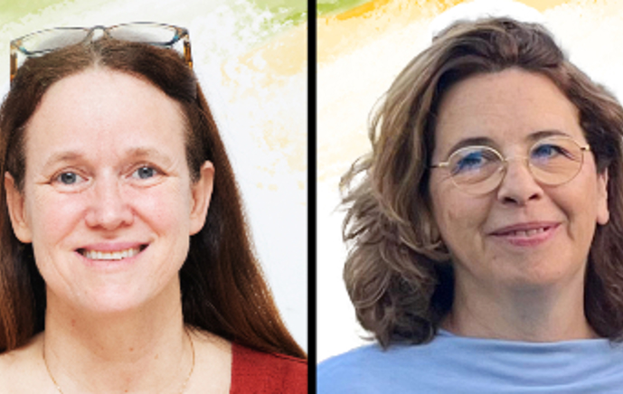 פרק 12: היכרות מעמיקה  