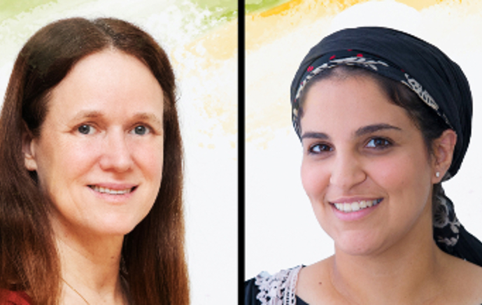 פרק 13: הוראה מפורשת  