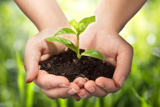 "צומחים מחדש"