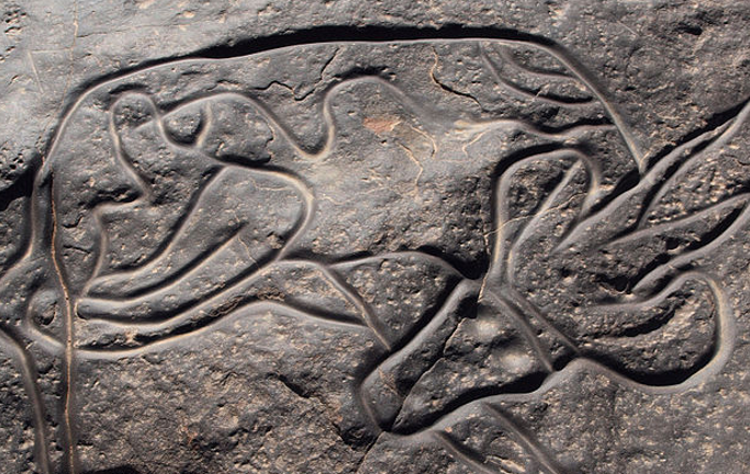 Sleeping Antelope Tin Taghirt