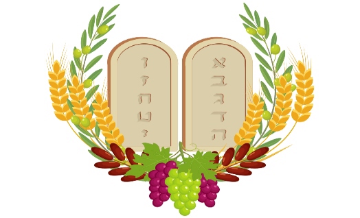 חומש דברים לחינוך המיוחד