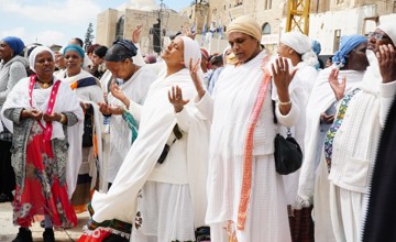 חג הסיגד בגן הילדים