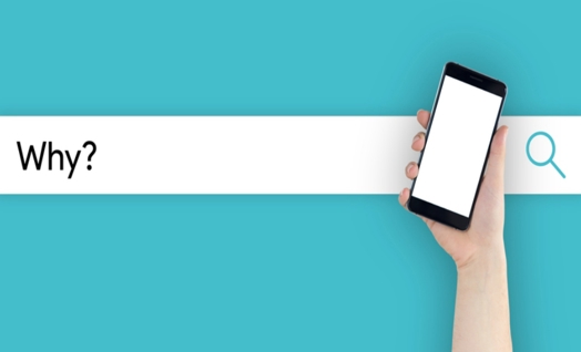 Quizzing and Survey Tools