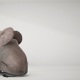 שיחה הסוגיות הלא מדוברות - הפילים שבחדר