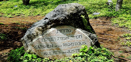 הצעות למהלך