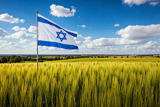 חומרי הוראה לכיתה ד