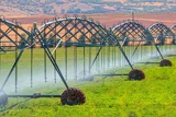התפתחות והישגים מקום המדינה ועד היום