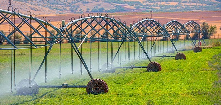 התפתחות והישגים