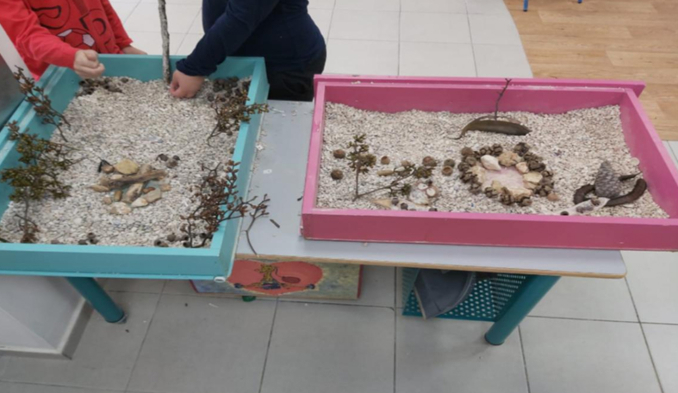 טיפוח ערכים סביבתיים ואחריות כלפי הסביבה
