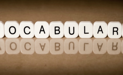 Vocabulary