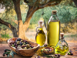 המסיק והכנת השמן