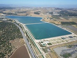 תריץ אחורה: המוביל הארצי