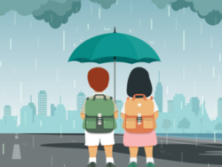  ציפי בדרכים: פסים זוהרים בלילה