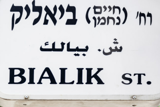 מי אתה ביאליק? פרופסור מיכאל וולפה