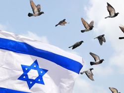 חדשות מהעבר, הכרזת המדינה