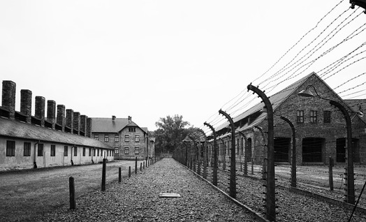 Holocaust Remembrance Day