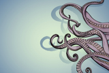 The Indonesian Mimic Octopus