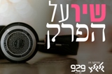 שיר על הפרק