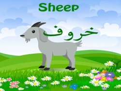 أسماء الإشارة