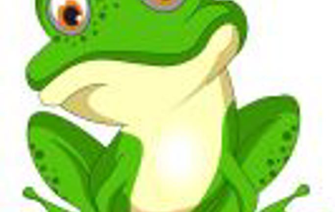 frog