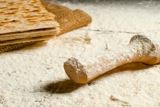 העשרה - פסח: הגדה, מצה ומדע