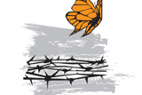 I Never Saw Another Butterfly