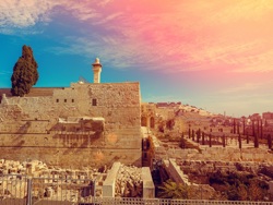סיור קולי בעיר דוד
