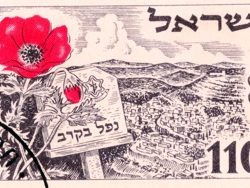 סרטוני הנצחה מאוירים ומרגשים