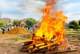 Lag Ba'Omer